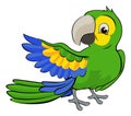 Cartoon Parrot Mascot