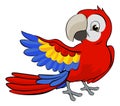 Cartoon Parrot Mascot