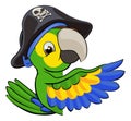 Cartoon Parrot in Pirate Hat