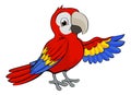 Cartoon Parrot