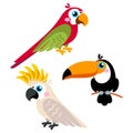 Cartoon parrots set and parrots wild animal birds isolated on white background Royalty Free Stock Photo