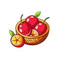 Cartoon Passion Fruit Basket Illustration on White Background Royalty Free Stock Photo