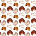 Cartoon pattern with the image of a dachshund dog's head on a white background Royalty Free Stock Photo