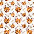 Cartoon pattern with the image of a dog's head of a red corgi on a white background with the addition of treats Royalty Free Stock Photo