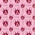 Cartoon pattern with the image of a French bulldog dog's head on a pink background