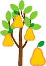 Cartoon pear tree with ripe yellow pears and green crown isolated Royalty Free Stock Photo