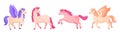 Cartoon pegasus. Funny winged unicorn, chubby pony magical horse wings, cute flying horses pink begasus for little