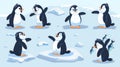 Cartoon penguin character isolated on a white background. Kawaii animal life at the northern pole. Funny arctic bird Royalty Free Stock Photo