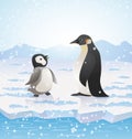 Cartoon penguins on icy landscape. vector Royalty Free Stock Photo