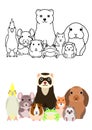 Cute cartoon pet animals group set, full body Royalty Free Stock Photo