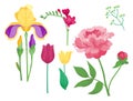 Cartoon petal vintage floral vector bouquet garden flower botanical natural peonies illustration and summer floral