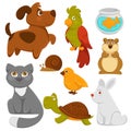 Cartoon pets domestic animals vector flat icons. Royalty Free Stock Photo