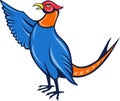 Cartoon pheasant bird pointing