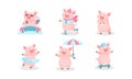 Cartoon Pig Character Vector Set. Piggie Lying on Beach Drinking Cocktail