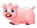 Cartoon pig lay down Royalty Free Stock Photo
