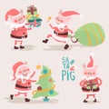 Cartoon pig Santa Claus. Funny Christmas piglets set