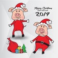 Cartoon pig Santa Claus, gift boxes with Christmas tree, Vector image, animal cartoon, Merry Christmas