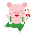 Cartoon pig, symbol of 2019 chinse new year dance with candy cane. vector illustration for calendars and cards