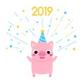 Cartoon pig, symbol of 2019 chinse new year with firework. vector illustration for calendars and cards