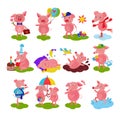 Cartoon pig vector piglet or piggy character on birthday and pink piggy-wiggy playing in puddle illustration piggish set