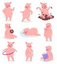 Cartoon pig vector piglet or piggy character and pink piggy-wiggy playing in puddle illustration piggish set of piggery