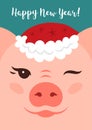 Cartoon pig wink, Happy New Year 2019 greeting card. Vector illustration