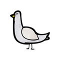 cartoon pigeon