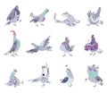 Cartoon pigeon. Isolated doodle dove clipart. Funny pigeons in different poses, sleep, drink coffee and fly. Emotional Royalty Free Stock Photo