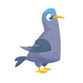 Cartoon pigeon vector character. Colorful flat illustration of dove image. Isolated on white.