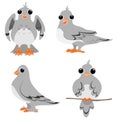 Cartoon pigeons