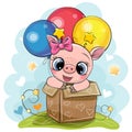 Cartoon Piggy girl in the box with balloons Royalty Free Stock Photo