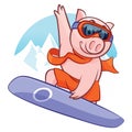 Piggy on snowboard with mask and scarf Royalty Free Stock Photo