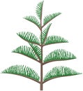 Cartoon pine tree on white background. Coniferous forest plant. Green bushy Christmas tree icon