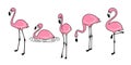 Cartoon pink flamingo vector set Cute flamingos collection Flamingo character animal exotic nature wild fauna illustration doodle Royalty Free Stock Photo