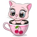 Cartoon Pink kitten is sitting in a Cup with cherry print Royalty Free Stock Photo