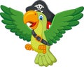 Cartoon pirate parrot Royalty Free Stock Photo