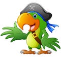 Cartoon pirate parrot Royalty Free Stock Photo