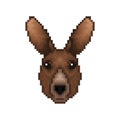 Cartoon pixelated Kangaroo icon. Pixel design.