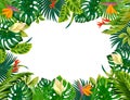 Cartoon plant frame. Liana branches and tropical leaves, game border of plants isolated on white background. Vector