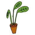 Cartoon plant in pot isolated on white background.