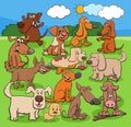 cartoon playful dogs characters group in the meadow Royalty Free Stock Photo