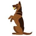 Cartoon playing german shepherd. Cute service dog breed, purebred domestic pet. German shepherd playing with ball flat vector