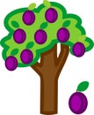 Cartoon plum tree with ripe plums and green crown