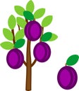 Cartoon plum tree with ripe plums and green crown Royalty Free Stock Photo