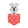 Cartoon pocket animal koala design