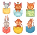 Cartoon pocket animals. Cute dog, funny cat and bunny. Monkey, mouse and rat animal in pockets vector illustration set