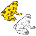 Cartoon of Poison-Dart Frog. Coloring page Royalty Free Stock Photo