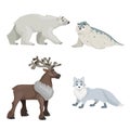 Cartoon polar animals set. Vector collection of polar bear, seal, reindeer and polar white fox. Best for education. Vector illustr Royalty Free Stock Photo