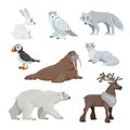 Cartoon polar and arctic animals. Snowy hear, owl, wolf, puffin, walrus, ermine, polar bear and reindeer. Educational vector illus