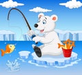 Cartoon polar bear fishing Royalty Free Stock Photo